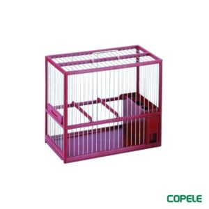 Bird Cages
