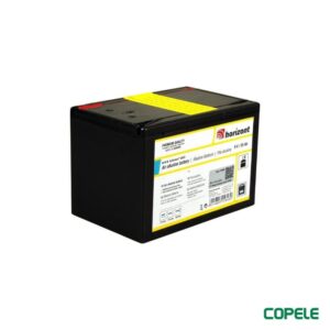 Batterie Alcaline