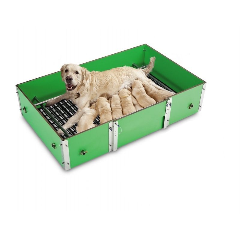 Bac D'Elevage pour Chiens Grande