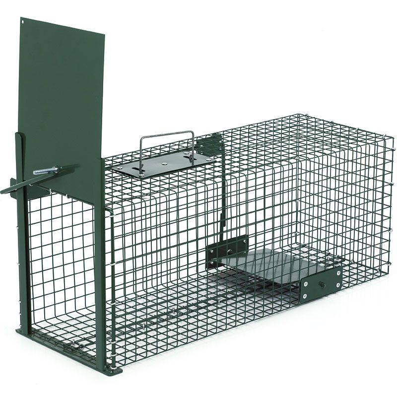 Painted Cage Trap for Rabbits