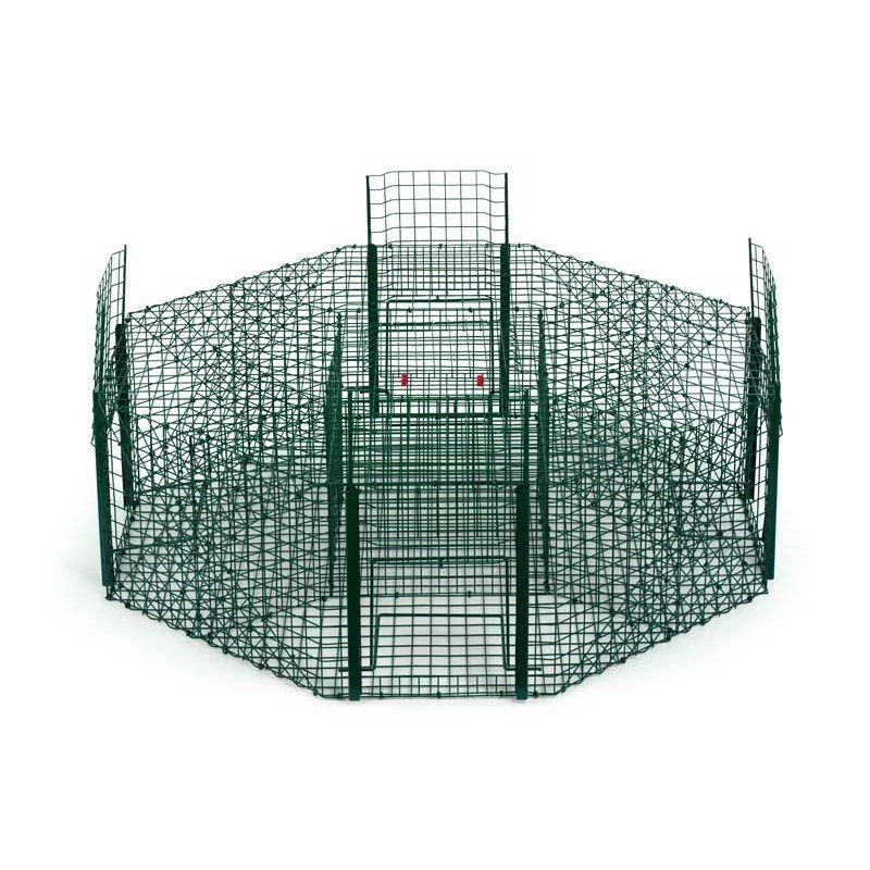 Painted Octogonal Trap for Magpies