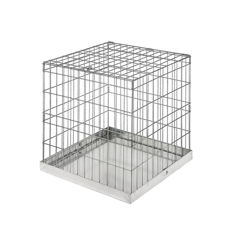 Cage Exposition 60 x 60 x 60 avec Plateau