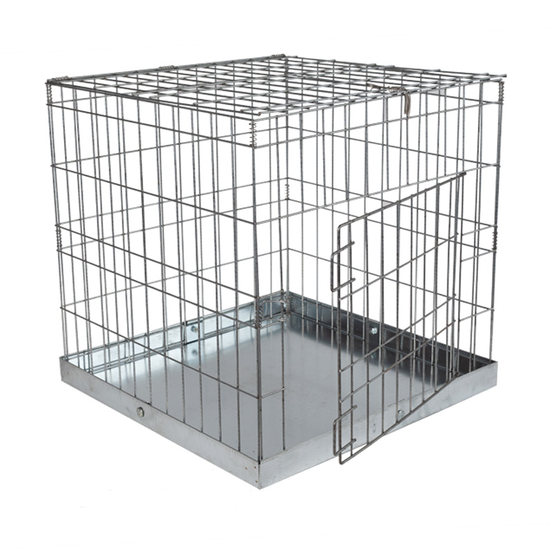 Cage Exposition 95 x 95 x 95 avec Plateau