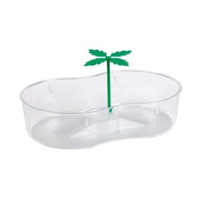 Aquarium Tortue avec Palmier