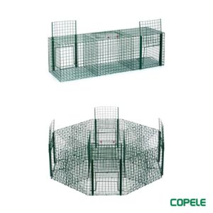 Bird trapping cages
